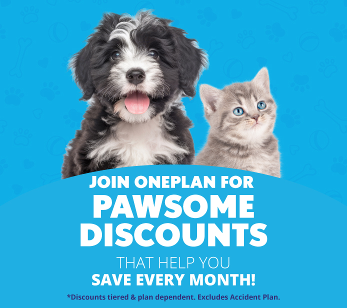 Pet discount outlet best sale