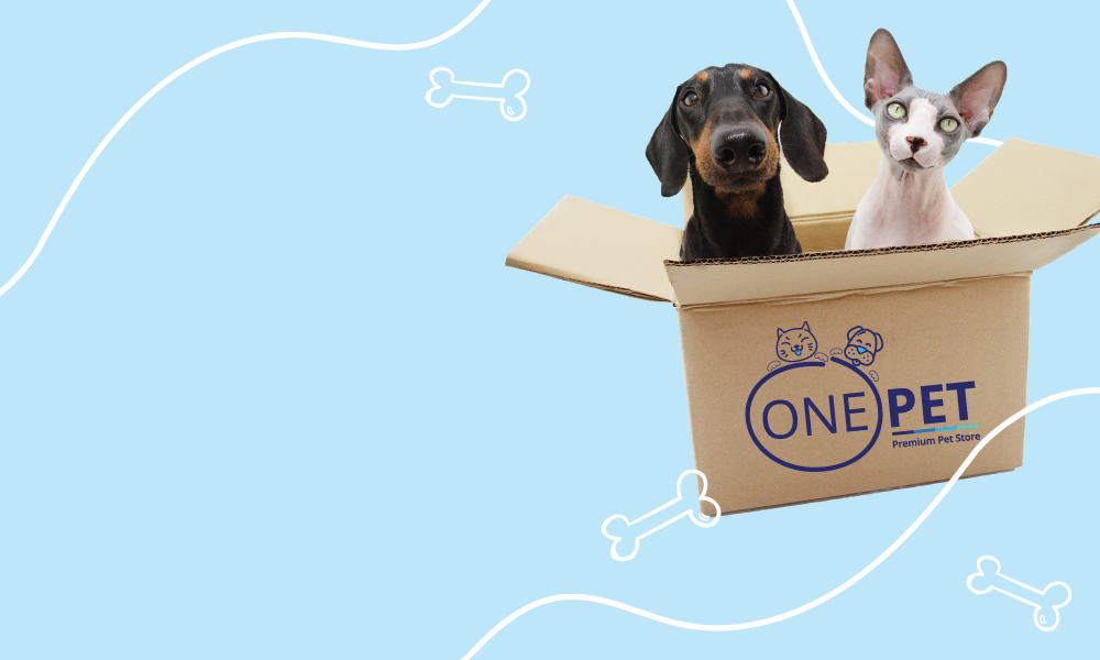 We've Moved