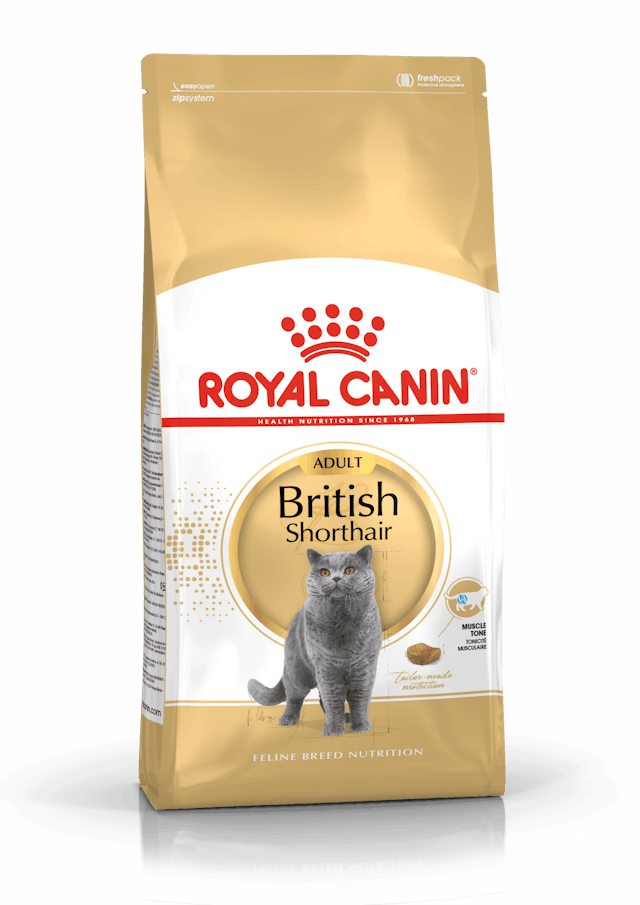 Royal Canin British Shorthair Adult Cat Food - 4kg