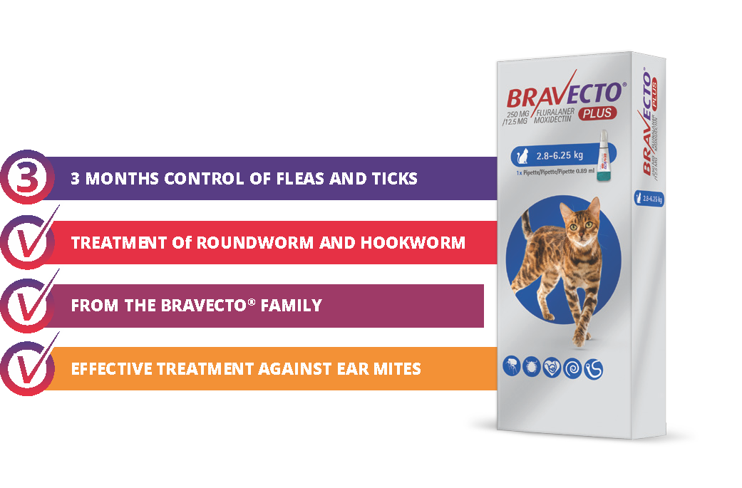 Bravecto Plus Cat Spot-On Medium (2.8-6.25kg)