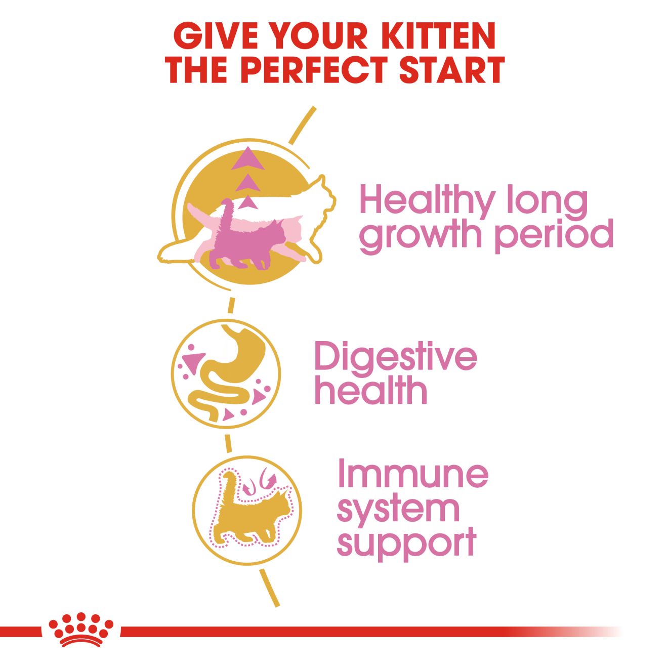 Royal Canin Maine Coon Kitten - 4kg