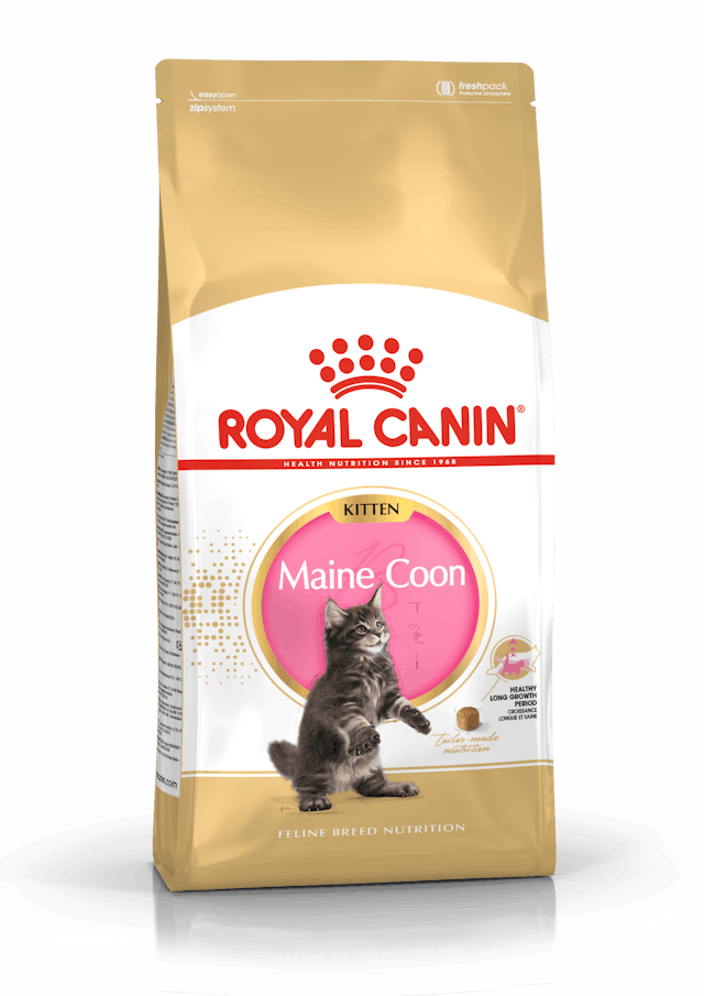 Royal Canin Maine Coon Kitten - 2kg