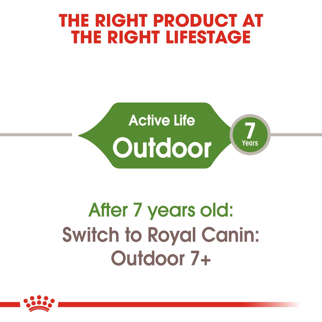 Royal Canin Outdoor Adult Cat Food - 4kg