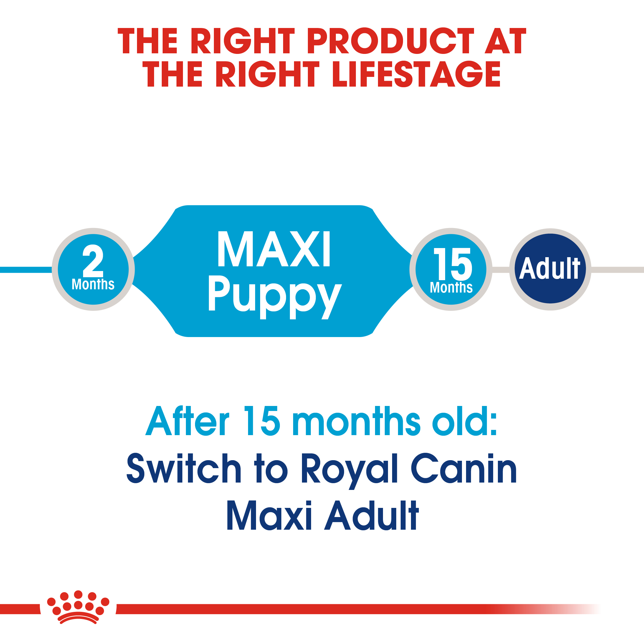 Royal Canin Maxi Puppy 15kg