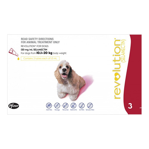 Revolution Spot On Dog Medium (10.1-20kg) Red