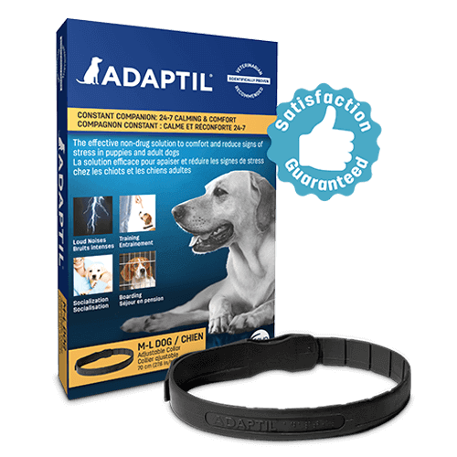 Adaptil Medium & Large Dog Collar