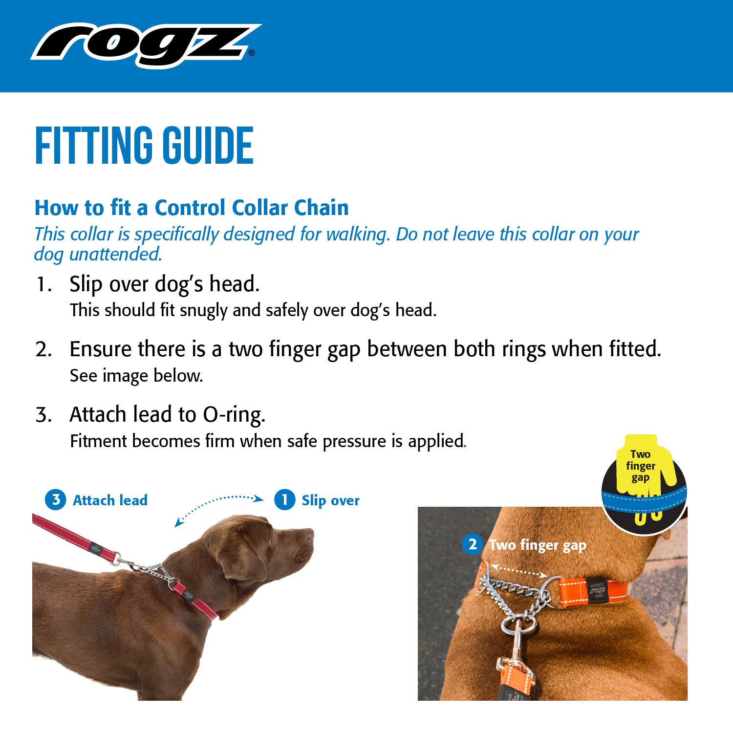 Rogz Utility Control Collar Turquoise (XXL)