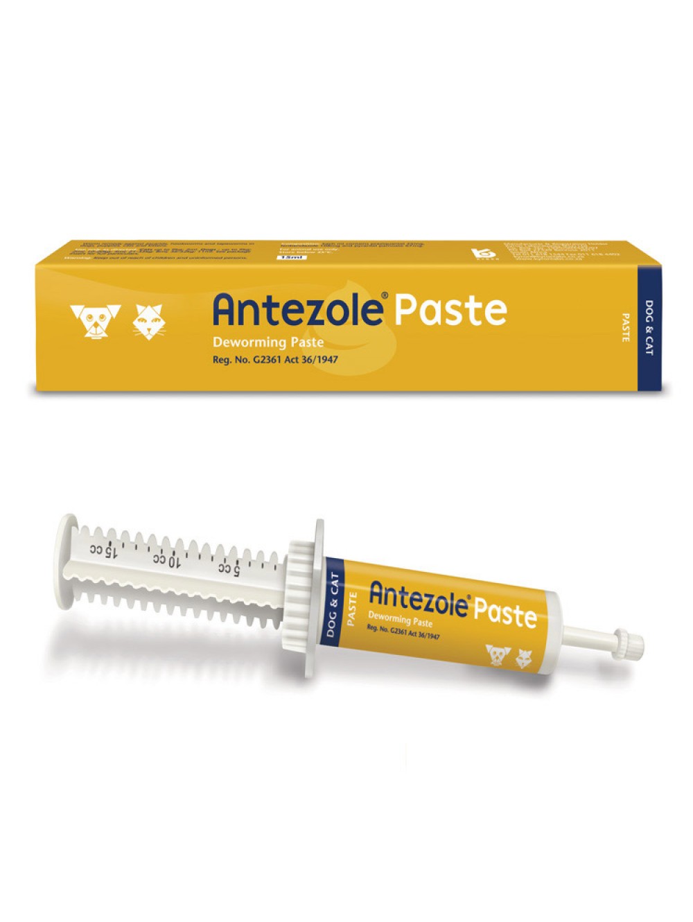 ANTEZOLE PASTE 15ML