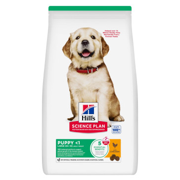 HILL'S SCIENCE PLAN Puppy Large Breed Dry Dog Food Chicken Flavour - 12kg