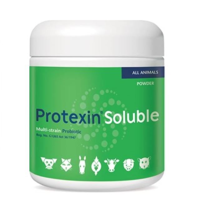 PROTEXIN SOLUBLE 60G