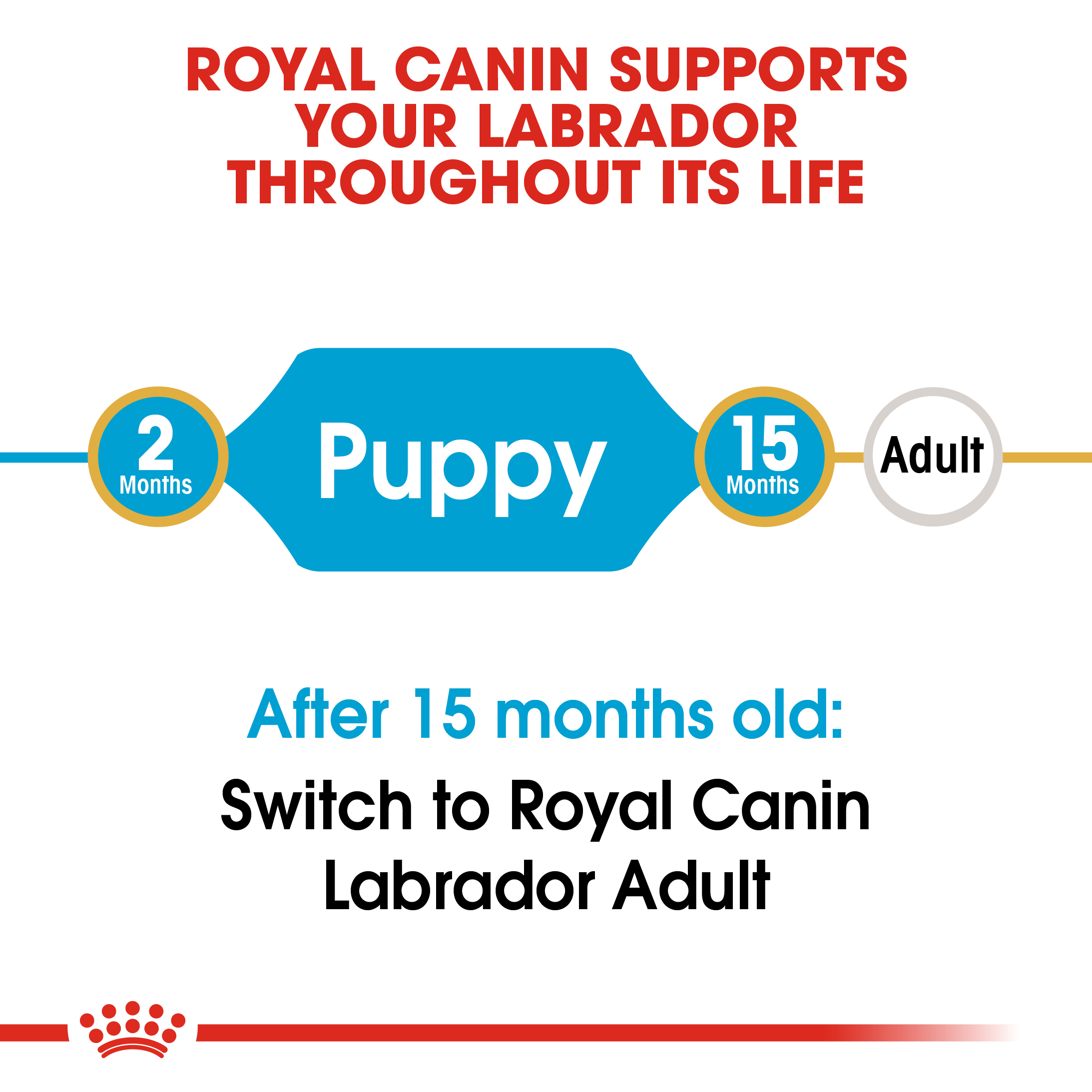 Royal Canin Labrador Retriever Puppy 12kg