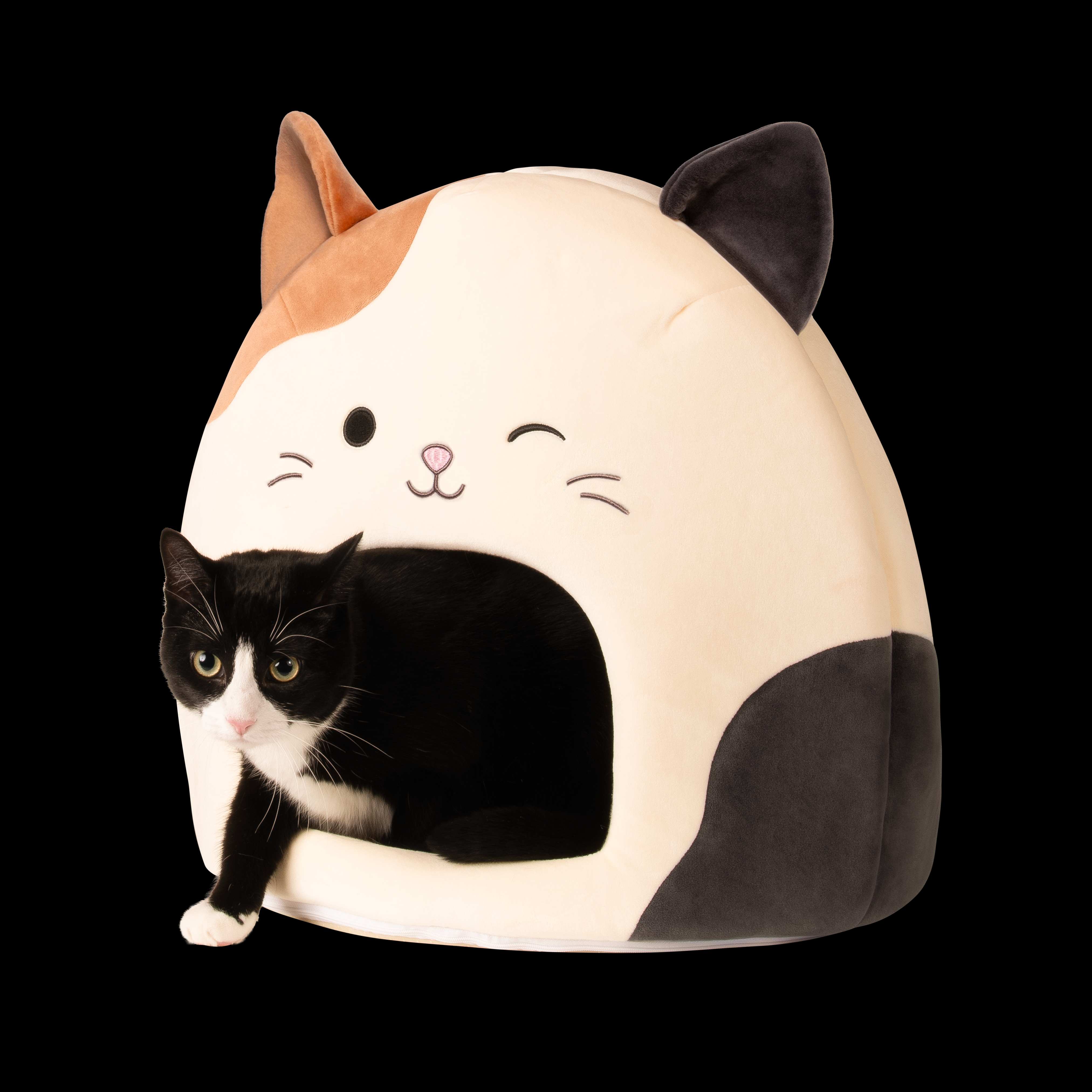 Squishmallows Covered Pet Bed (Cam The Cat)
