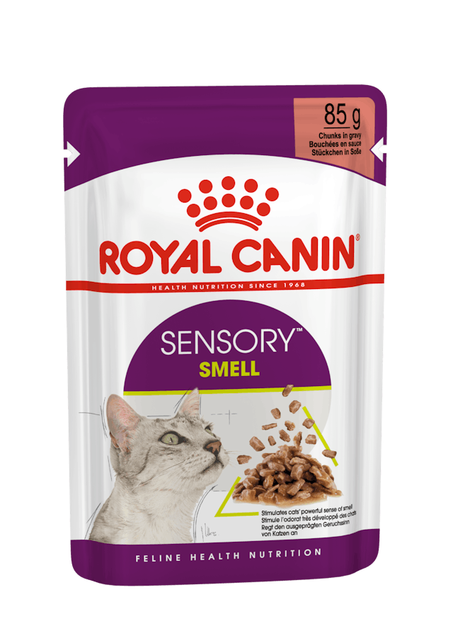 Royal Canin Feline Sensory Smell In Gravy - 85g