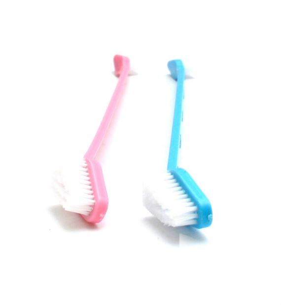 PET DENT TOOTHBRUSH - BLUE or PINK