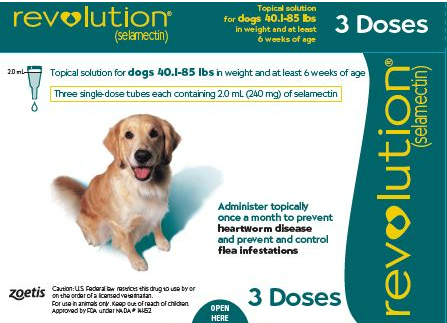 Revolution Spot On Dog Large (20.1-40) Teal