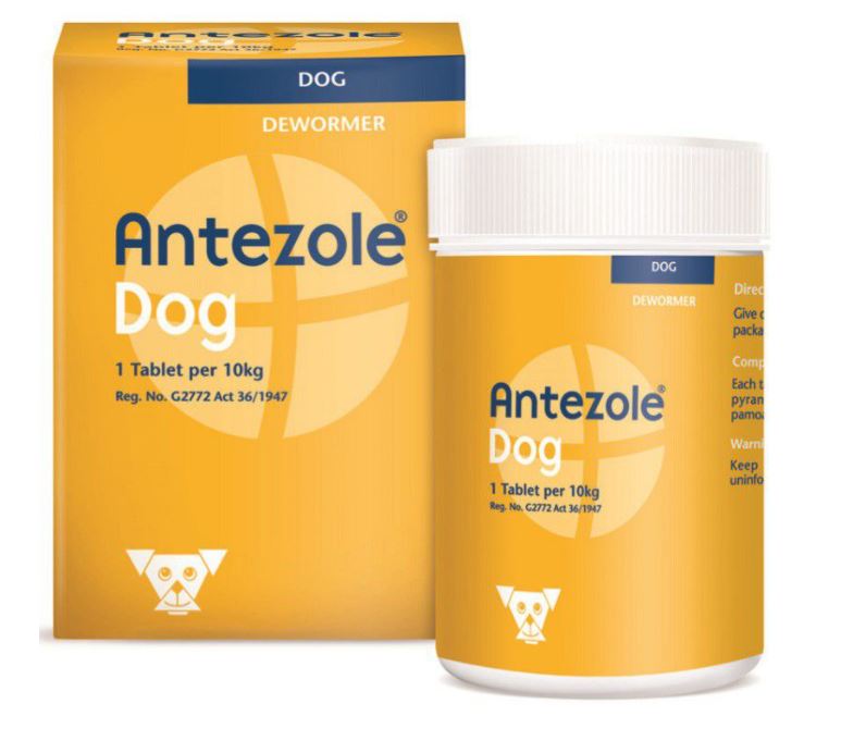 ANTEZOLE DOG TABS 50'S