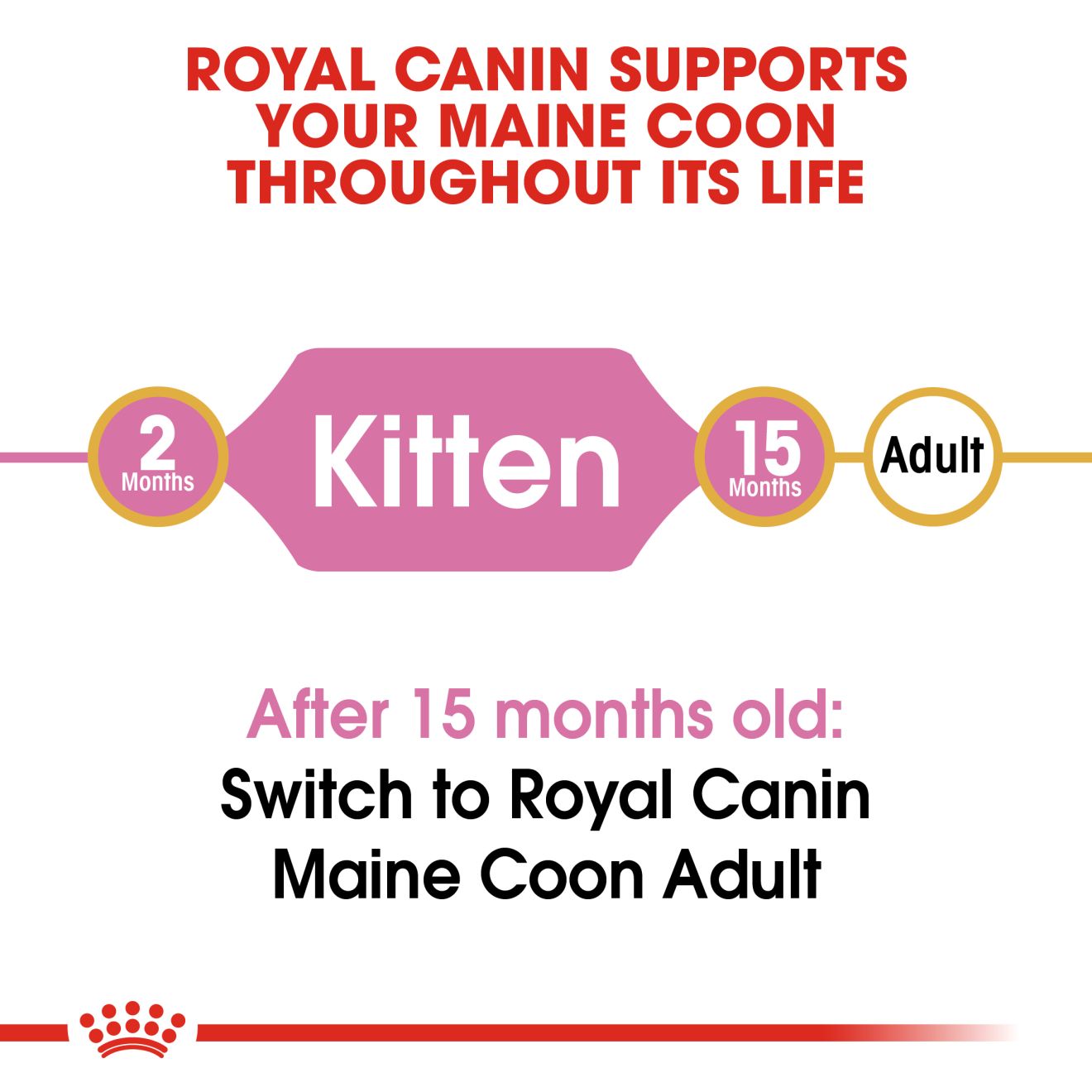 Royal Canin Maine Coon Kitten - 4kg