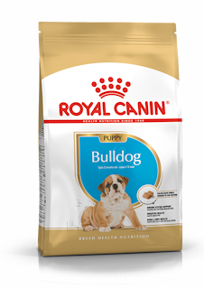 Royal Canin English Bulldog Puppy - 12kg