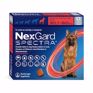 Nexgard Spectra Xl (30,1 - 60kg) Singles