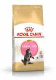 Royal Canin Maine Coon Kitten - 4kg