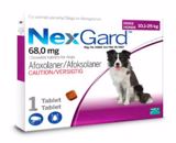 NEXGARD 10-25KG (PURPLE) LARGE CHEWABLE Singles