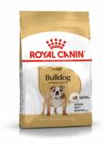 Royal Canin English Bulldog Adult 12KG