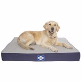 Sealy Defender  Mattress Dog Bed Grey (XL)