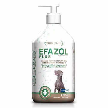 Efazol Plus Liquid Skin Supplement 750ml